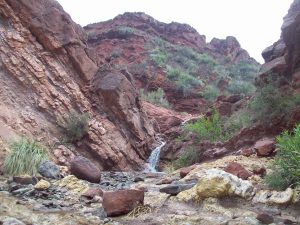 25_ReservaNaturalDivisaderoLargo (2)