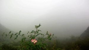 5_Villavicencio - Quebrada del Hornillo (55)