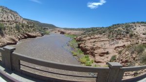 66_LaJaula (2)