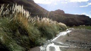 70_CascadaDelChacarero (10)