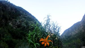 7_QubradaDeLosBerros (1)